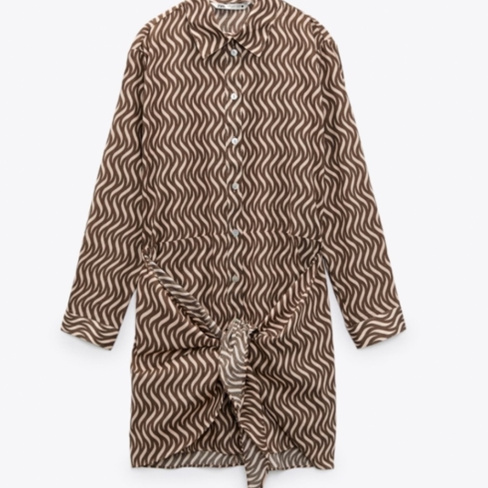 ZARA Printed Long Sleeve Mini Dress